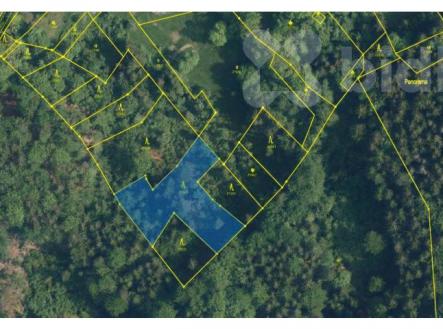 Prodej pozemku, les, 2 590 m²