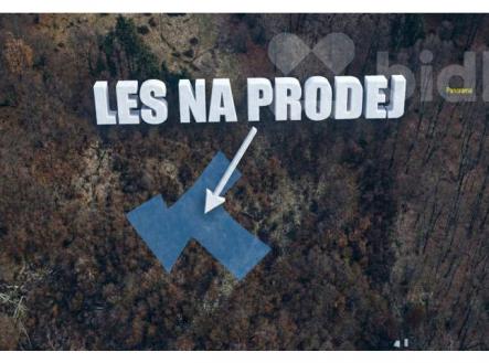 Prodej pozemku, les, 2 590 m²