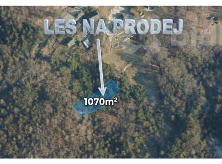 Prodej pozemku, les, 1 070 m²