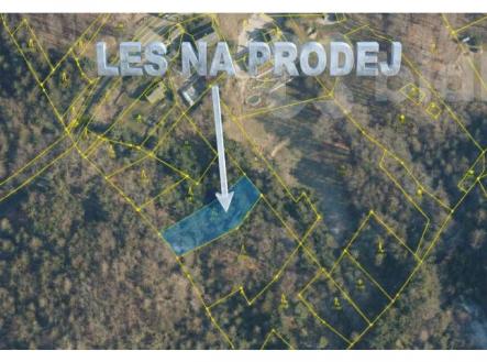 Prodej pozemku, les, 1 070 m²