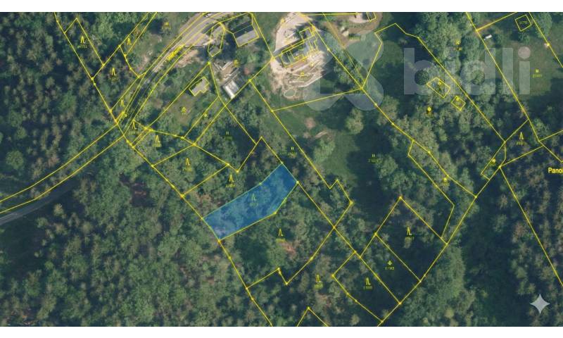 Lesní pozemek 1 070 m2 - Šumburk nad Desnou