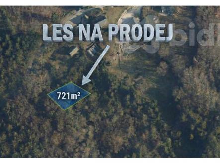 Prodej pozemku, les, 721 m²