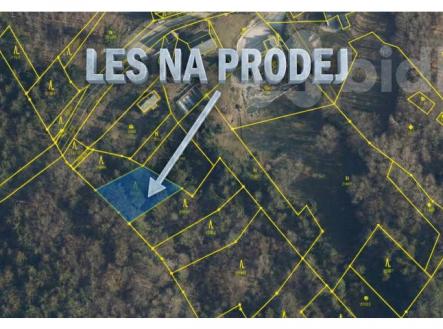 Prodej pozemku, les, 721 m²