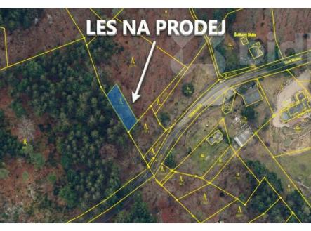 Prodej pozemku, les, 354 m²