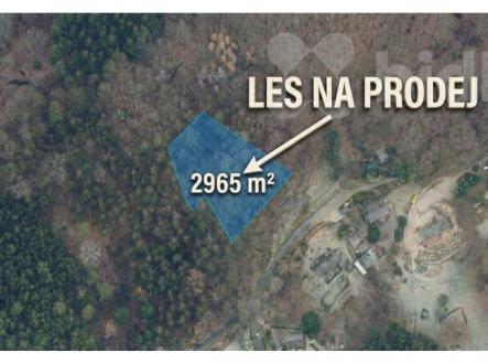 Prodej pozemku, les, 2 965 m²