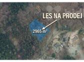Prodej pozemku, les, 2 965 m²