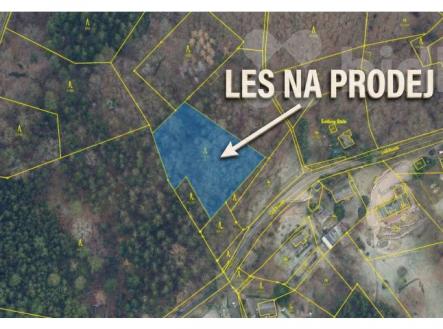 Prodej pozemku, les, 2 965 m²