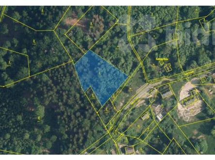 Prodej pozemku, les, 2 965 m²