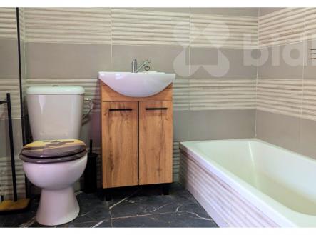 Pronájem bytu, 1+1, 40 m²