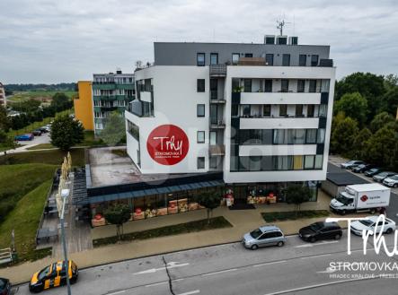 Pronájem obchodní prostor, 13 m²