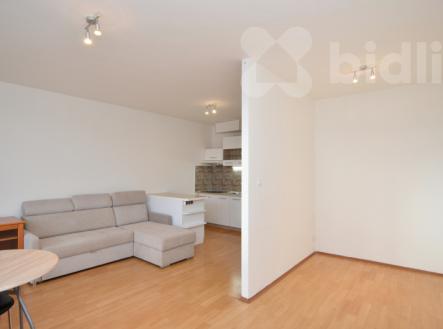 Prodej bytu, 1+kk, 38 m²