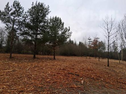 Prodej pozemku, trvalý travní porost, 9 248 m²