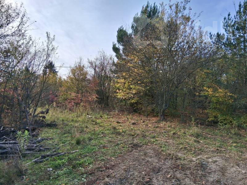 Prodej pozemku cca od 1000 m2 až cca 9.000 m2, Brno-Bystrc