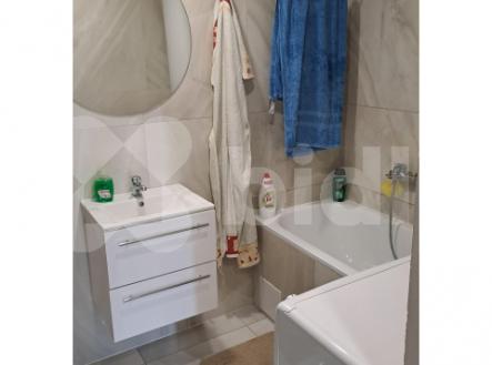 Prodej bytu, 1+kk, 80 m²