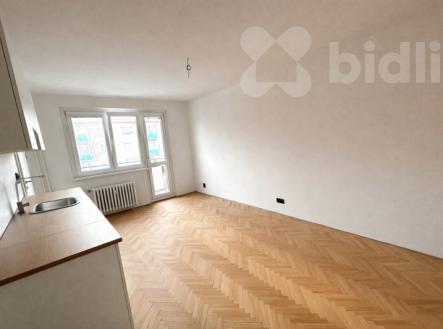 Pronájem bytu, 2+1, 55 m²