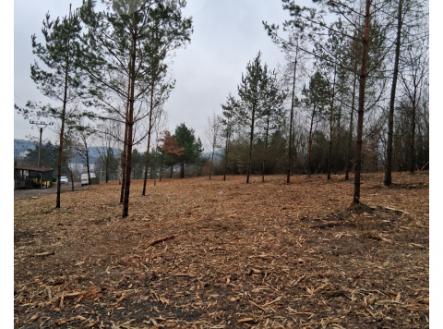 Prodej pozemku, trvalý travní porost, 9 248 m²