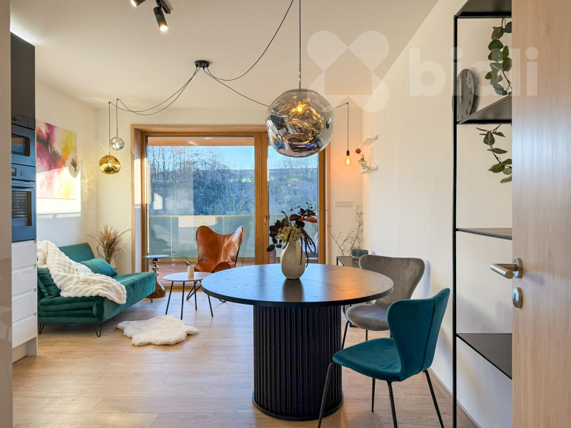 Pronájem bytu 2+kk 55 m² Lázeňská, Slaný