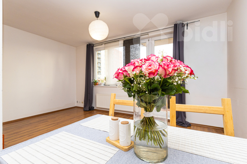 Byt 1+kk 39 m2 + balkon 3 m2 Praha 8 - Troja, blízko Botanické zahrady a Zoo