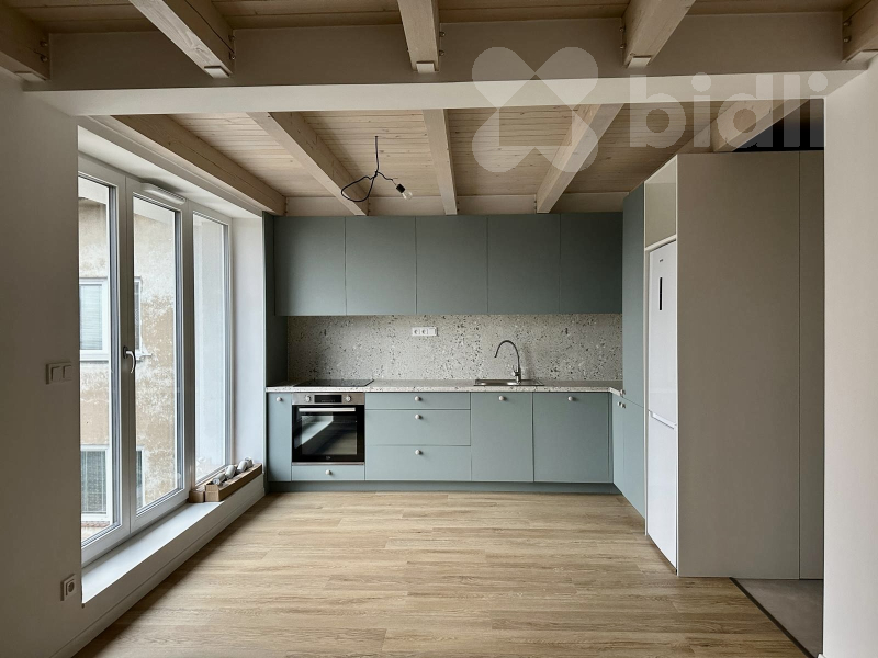 Pronájem mezonetového nově vybudovaného bytu 40m m2 v 3 NP.