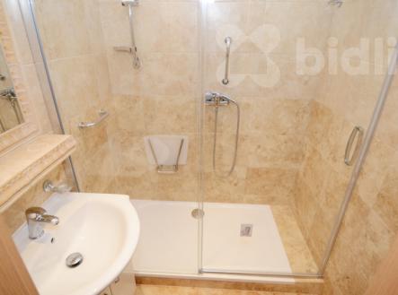 Pronájem bytu, 2+1, 57 m²