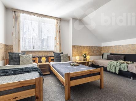 Prodej penzion, 442 m²