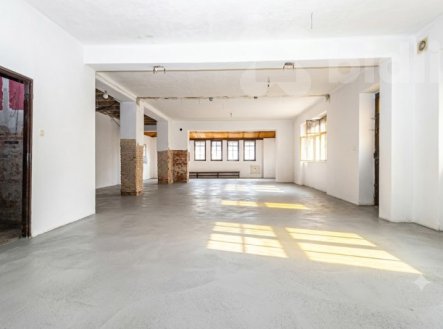 Prodej obchodní prostory, 155 m²