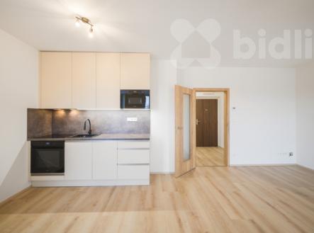 Pronájem bytu, 1+kk, 41 m²