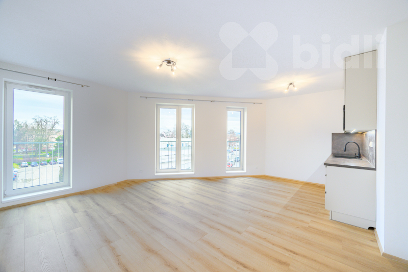 Pronájem bytu 1+kk 42, Dobrovodská, České Budějovice - České Budějovice 5