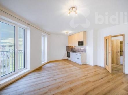 Pronájem bytu, 1+kk, 41 m²