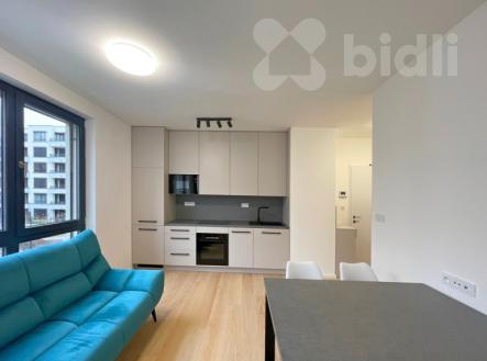 Pronájem bytu, 1+kk, 46 m²