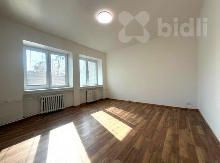 Pronájem bytu, 1+1, 33 m²