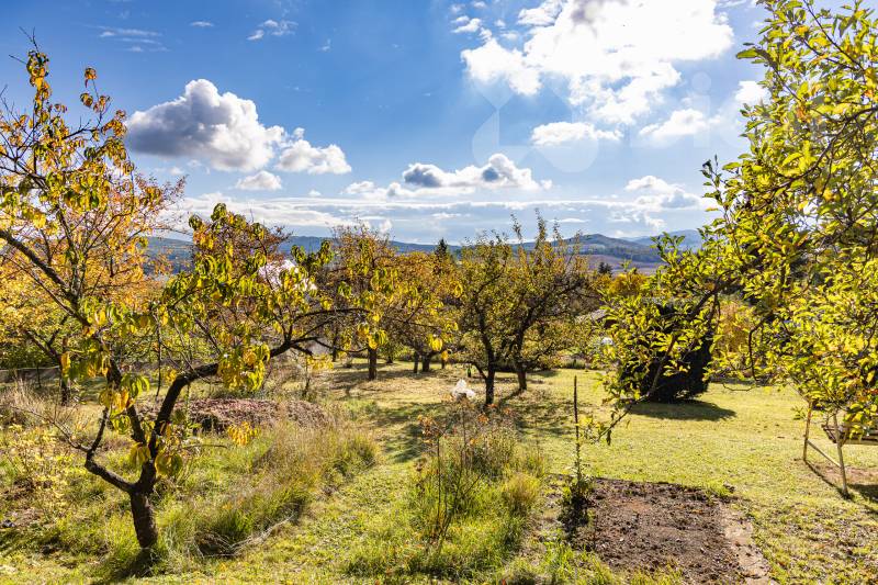 Zahrada přímo u lesa