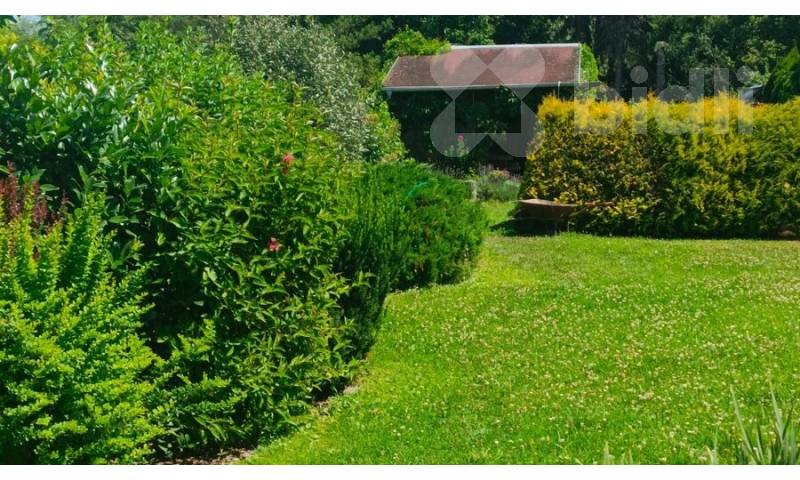 Prodej zahrady s chatkou, 595 m2, Terezín