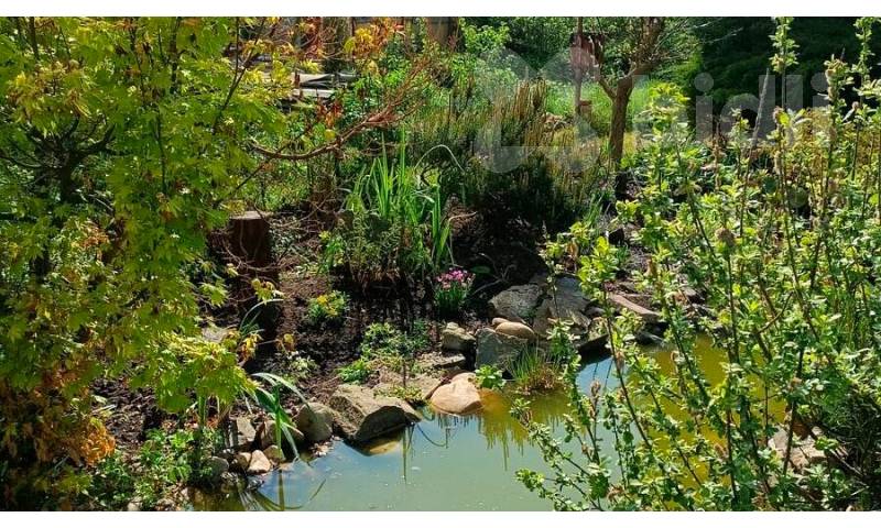 Prodej zahrady s chatkou, 595 m2, Terezín