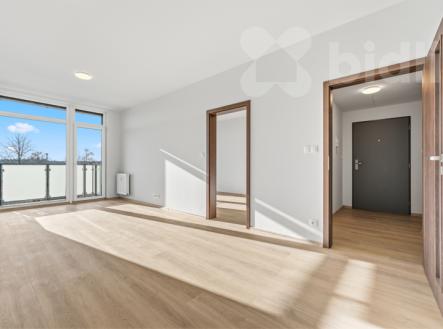 Pronájem bytu, 2+kk, 53 m²