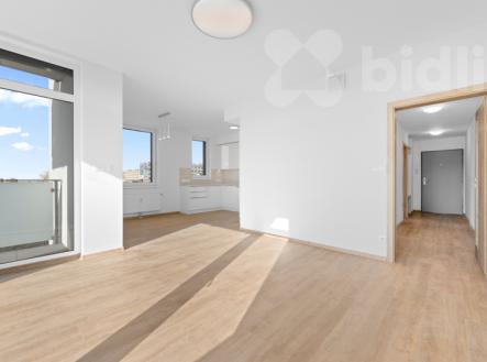 Pronájem bytu, 2+kk, 54 m²