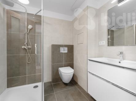 Pronájem bytu, 2+kk, 54 m²