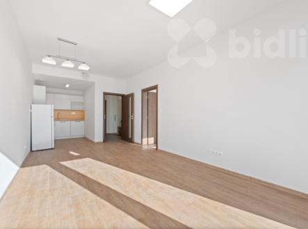 Pronájem bytu, 2+kk, 53 m²