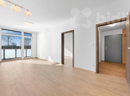 Pronájem bytu, 2+kk, 54 m²