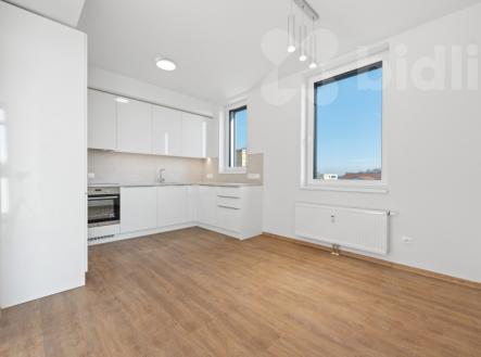 Pronájem bytu, 2+kk, 54 m²