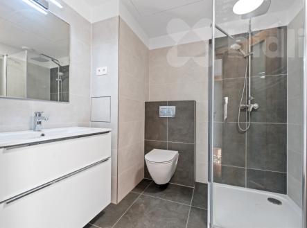 Pronájem bytu, 2+kk, 54 m²