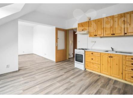 Pronájem nájemního domu, 43 m²