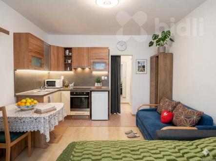 Prodej bytu, 1+kk, 24 m²