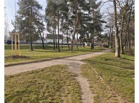 Pronájem bytu, 3+1, 70 m²