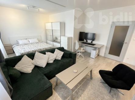 Pronájem bytu, 1+kk, 53 m²