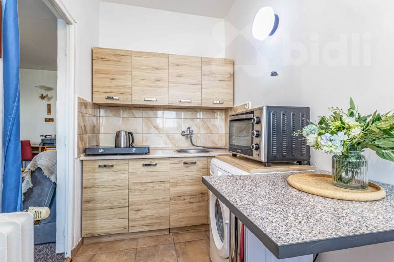 Prodej bytu 1+1 v Brně Lesné, Halasovo náměstí