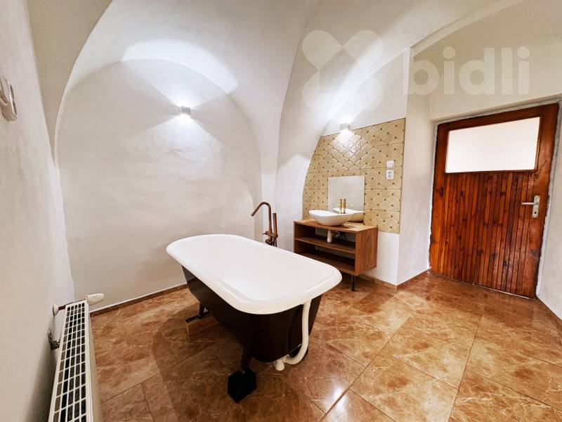 Pronájem bytu 3+kk, Žalany