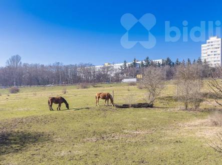 Prodej bytu, 3+kk, 59 m²