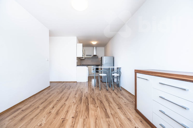 Pronájem světlého bytu 2+kk, 45 m2 + sklep 5 m2, Praha - Michle