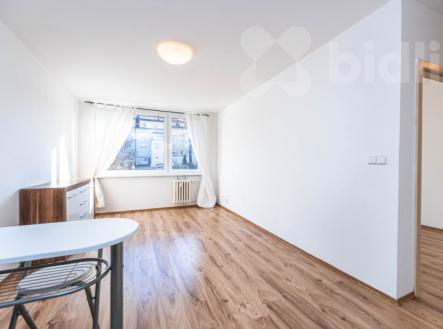 Pronájem bytu, 2+kk, 45 m²